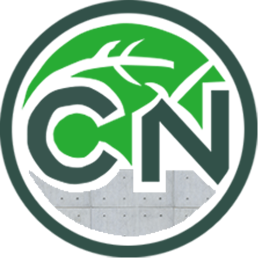 CN 1