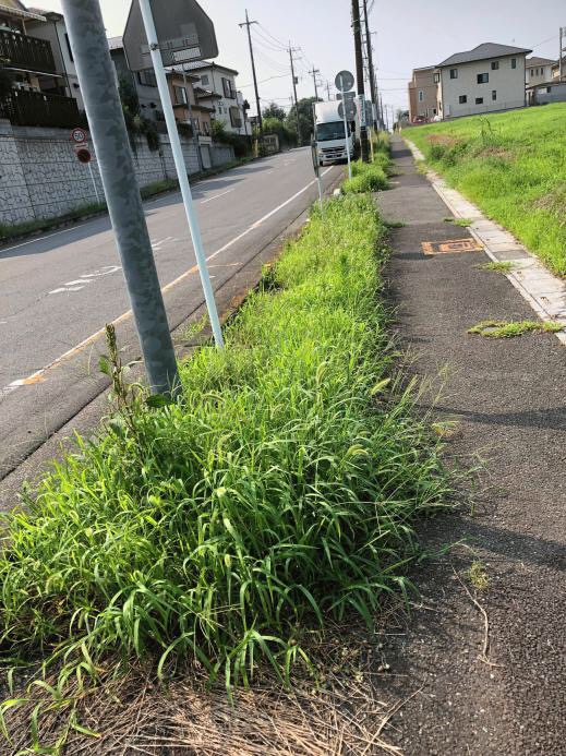 雑草 お役立ちシリーズ 防草 草むしり コケ カビ ジメジメに困ったら透水性コンクリート 水たまり対策 Drytech ドライテック 透水性舗装仕上材 生コンポータル