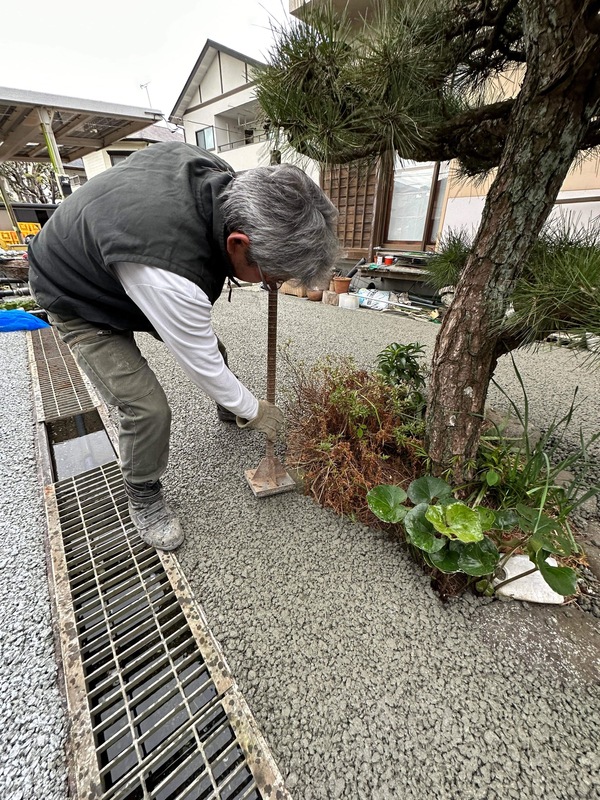 【静岡】「舗装に妨げられる新鮮な水と酸素の供給は樹木の根上がりを引き起こす」土方土建