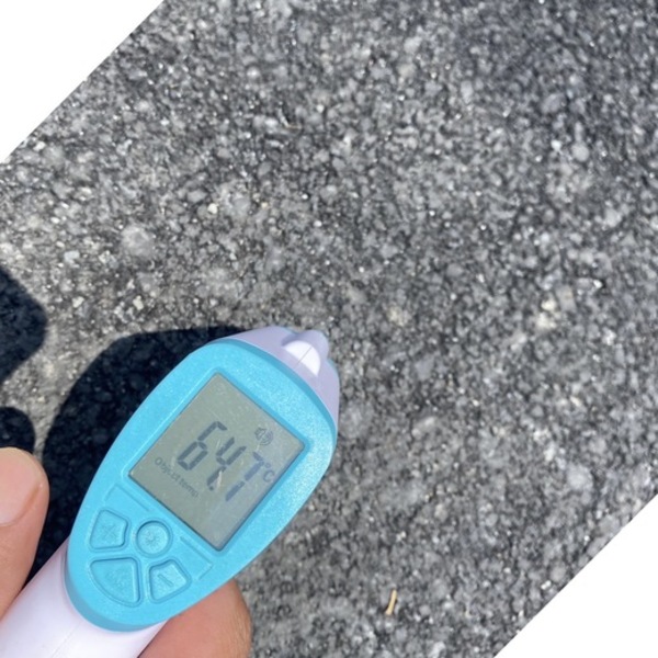 【仮説】「アスファルト64.7℃。 CNコンクリートの路面温度は普通の舗装に比べて低いのではないか？」【検証】