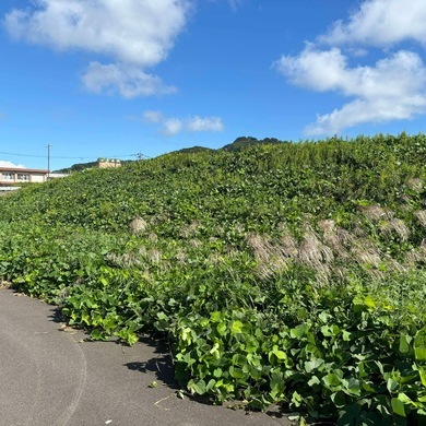 何かとお騒がせ中 【ホソヤン】 と行く！ 富山県高岡市訪問記 ②「たかが雑草と侮ることなかれ」オワコン 【防災】 の役に立つ