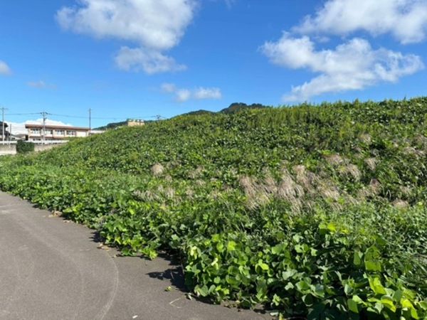 何かとお騒がせ中 【ホソヤン】 と行く！ 富山県高岡市訪問記 ②「たかが雑草と侮ることなかれ」オワコン 【防災】 の役に立つ