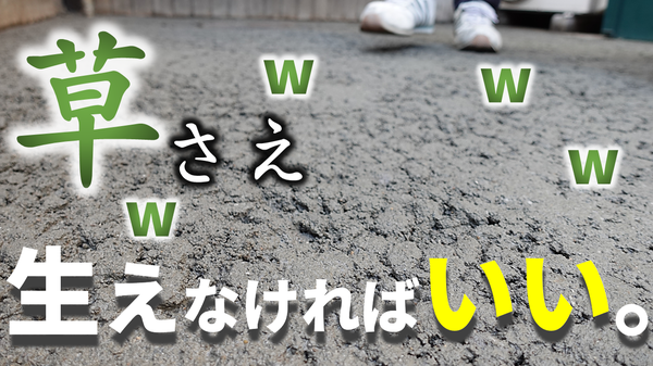 庭ファン 草が生えなければ それで良い 庭コン ドライテックだって当初はゴツゴツしてて嫌だと言われていた 雑草 ぬかるみ対策 オワコン 生コンポータル