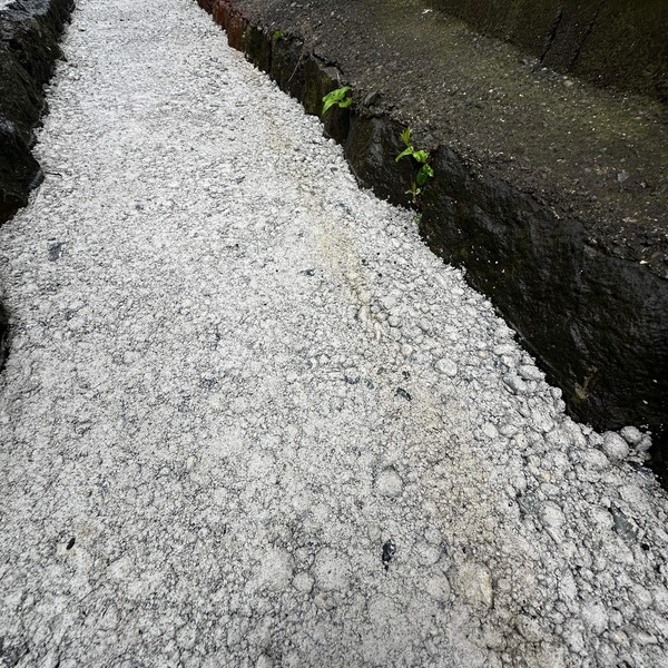 雨降りでも三島市発注のCNオワコンはきちんと市民の暮らしを守っていました