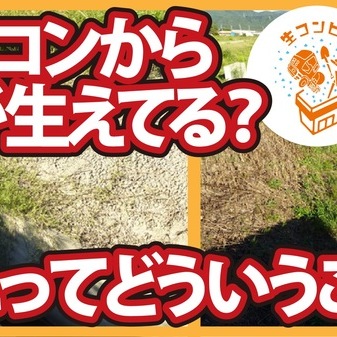 【コンクリート講座】え？オワコンに草が生えてしまった？どういうこと?!