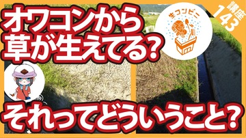 【コンクリート講座】え？オワコンに草が生えてしまった？どういうこと?!