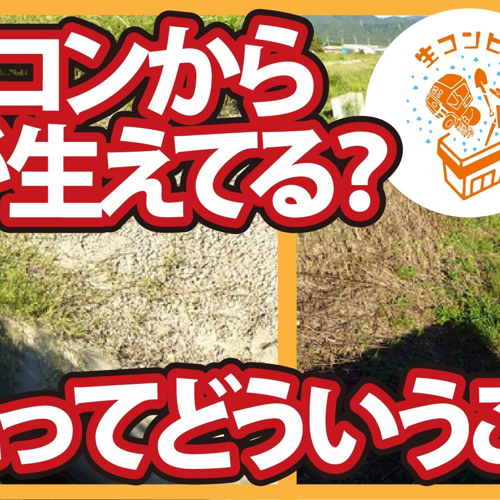 【コンクリート講座】え？オワコンに草が生えてしまった？どういうこと?!