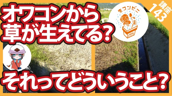 【コンクリート講座】え？オワコンに草が生えてしまった？どういうこと?!